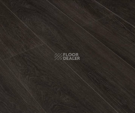 Ламинат Clix Floor Intense CXI148 Дуб Цейлонский фото 1 | FLOORDEALER